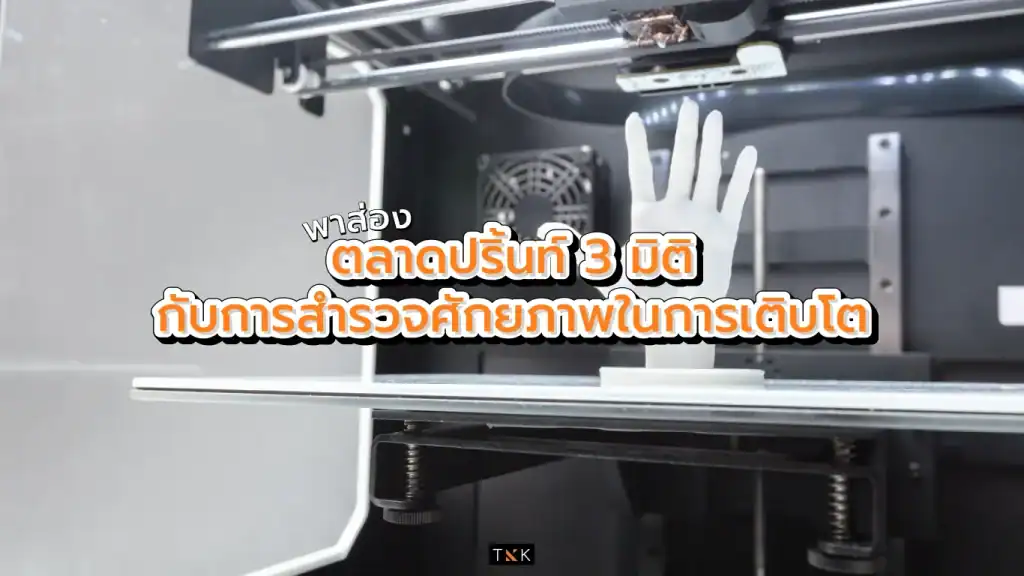 ตลาดปริ้นท์ 3 มิติ 3D Print